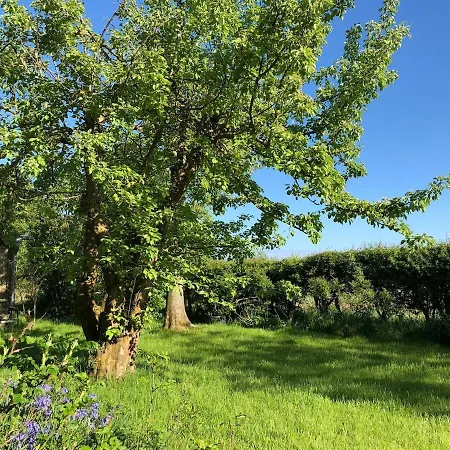 Deichkieker - Charmantes Mit Grossem Garten In Alleinlage Nahe Der Nordsee