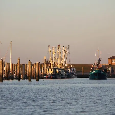 Deichkieker - Charmantes Mit Großem Garten In Alleinlage Nahe Der Nordsee