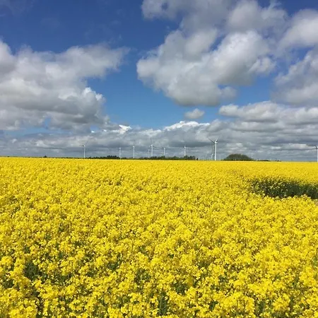 Deichkieker - Charmantes Mit Großem Garten In Alleinlage Nahe Der Nordsee Ferienhaus *