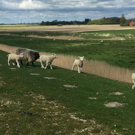 Deichkieker - Charmantes Mit Großem Garten In Alleinlage Nahe Der Nordsee * Ockholm